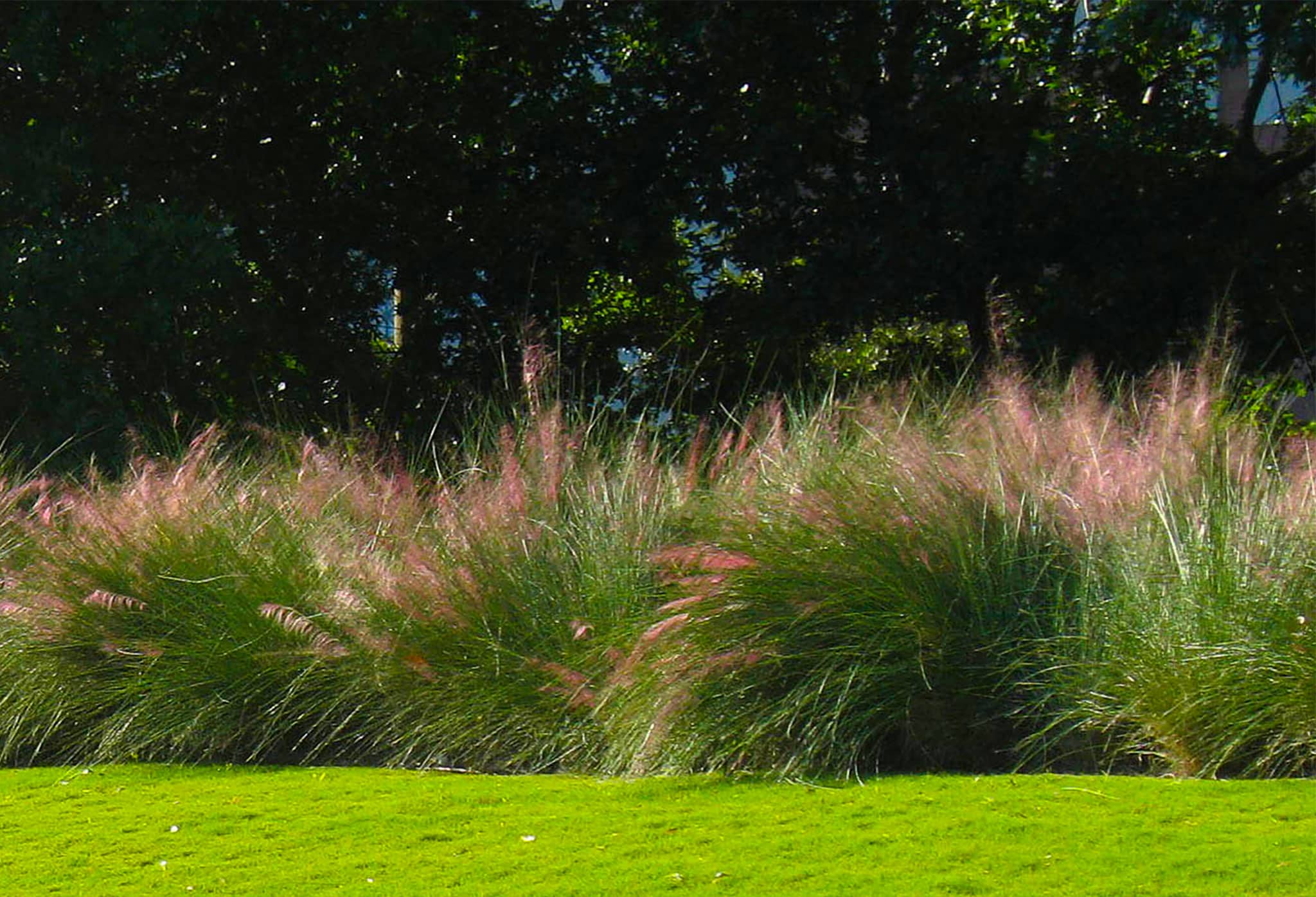 Vinson & Elkins Garden at Discovery Green