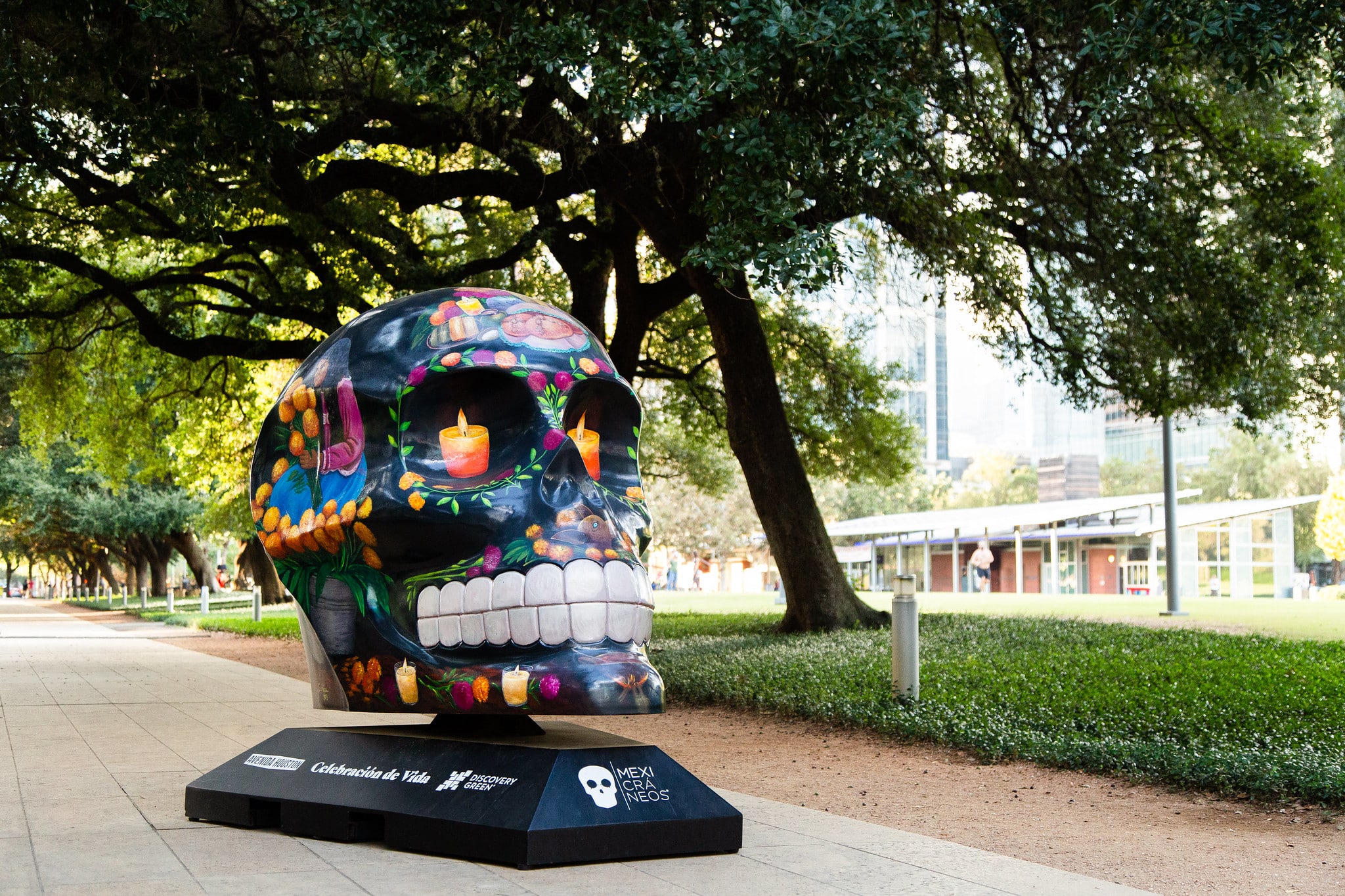 vibrantly colored skulls on display at Discovery Green