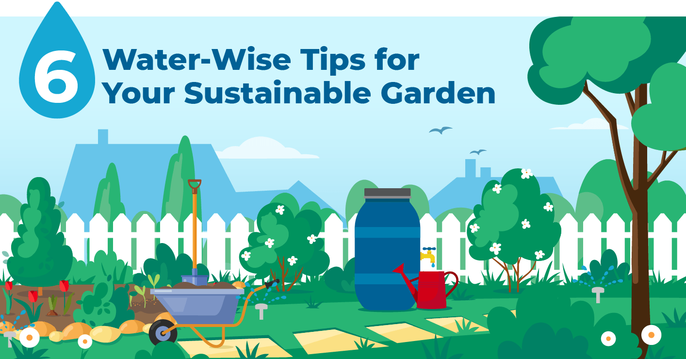 Six Water-Wise Tips for Your Sustainable Garden